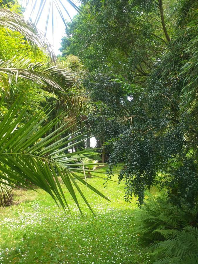 Un Jardin En Pente Douce Villa Locquenole Eksteriør bilde