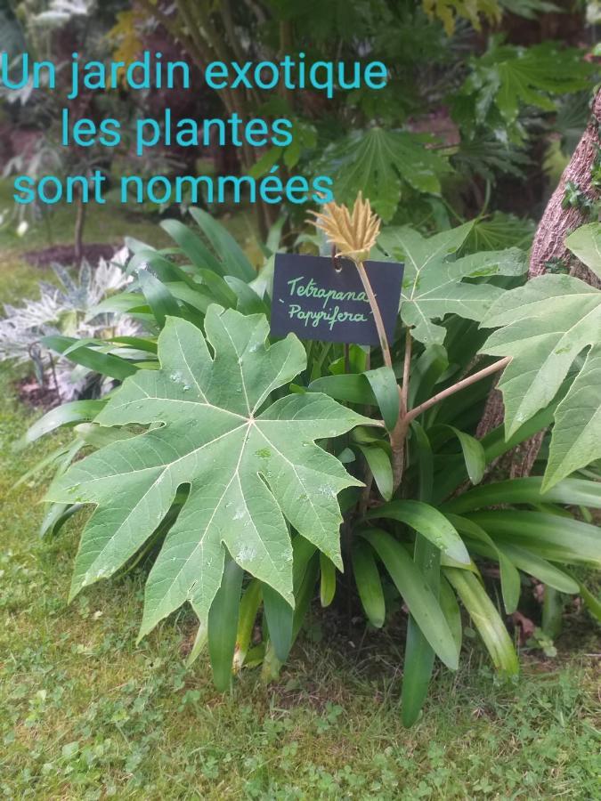 Un Jardin En Pente Douce Villa Locquenole Eksteriør bilde